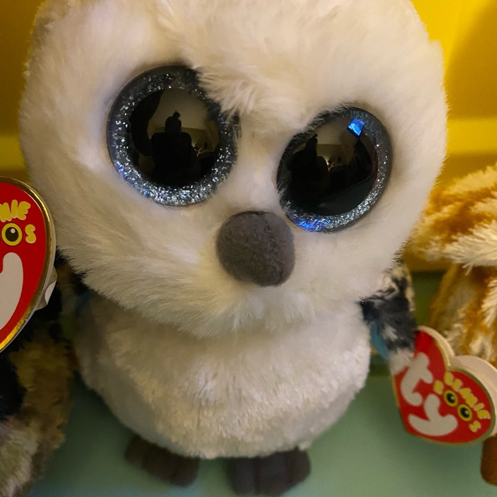 TY Owl Collection Bundle - Picture 3 of 6